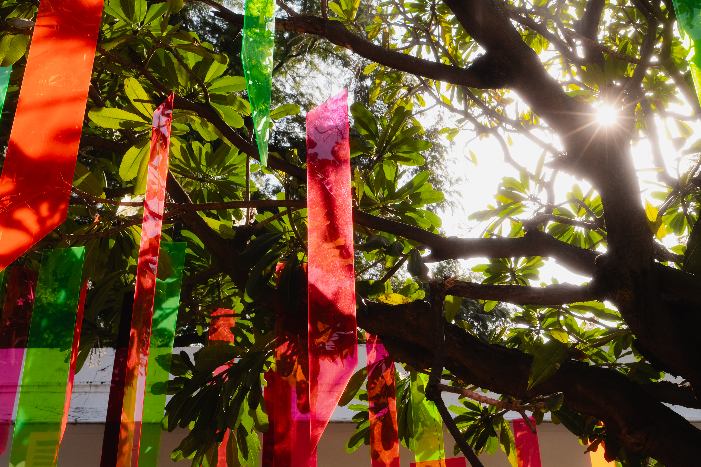 Image from Akhila Anand